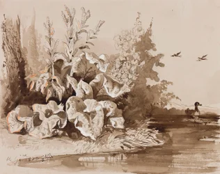 Estudio de plantas junto a un arroyo con patos, con adiciones de un instructor, 1856